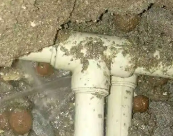 延寿测漏水多少钱