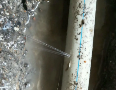 延寿测漏水哪家好