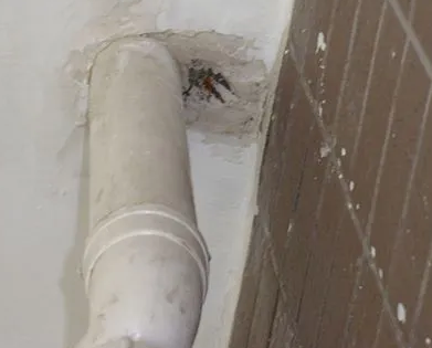 延寿漏水检测哪家好